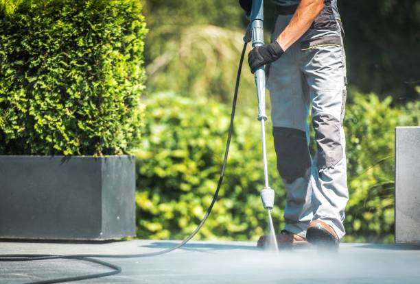 Best Gutter Cleaning  in Bells, TN